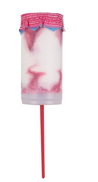 Igloo Ice Cream 90Ml