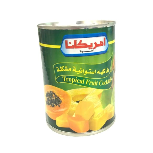 Americana Tropical Fruit Cocktail 565g