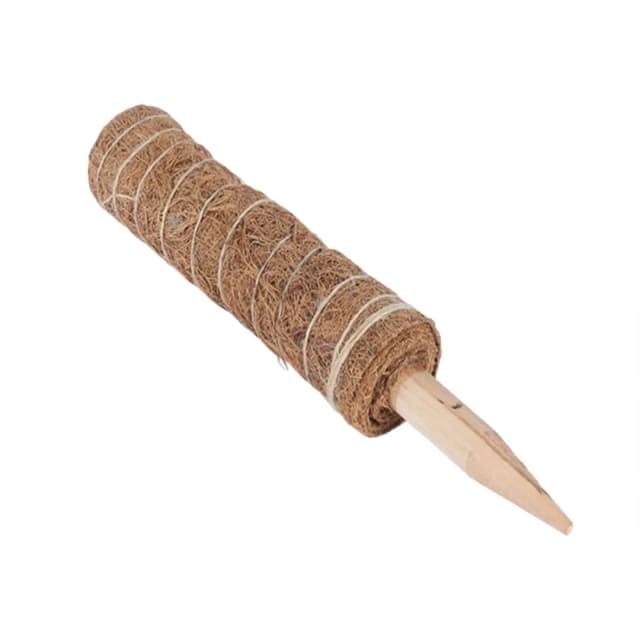 GL Moss Pole Brown 40 cm C02001
