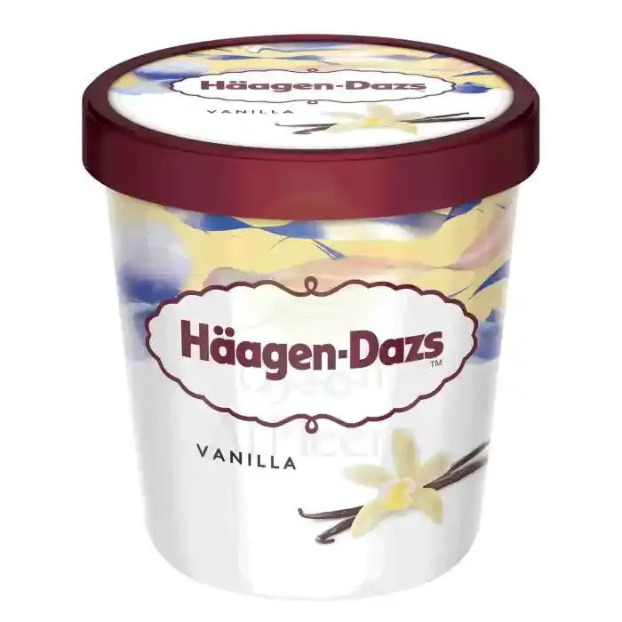 Häagen-Dazs Ice Cream Vanilla & Cream 460ml