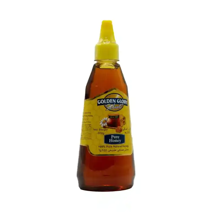 GOLDEN GLORY HONEY SQUEEZ500GM