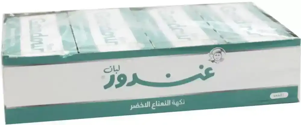 Gandour Spearmint Gum 8.10gx20 Pieces