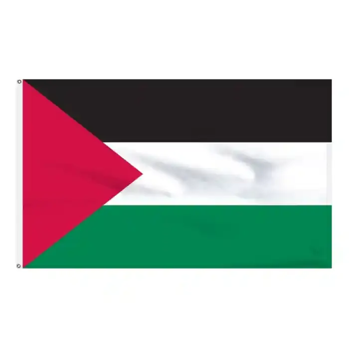 Big Flag Palestine