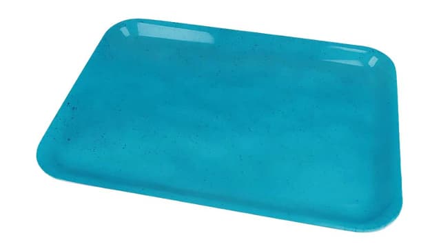 Trishi Tray 1 Pc 32x 23.2x1.8cm
