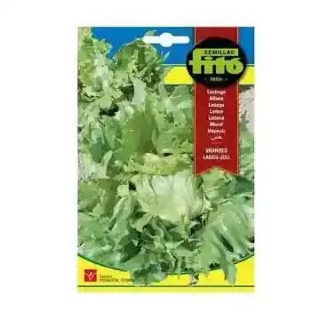 Fito Seeds Lettuce Great Lakes Juli 01837
