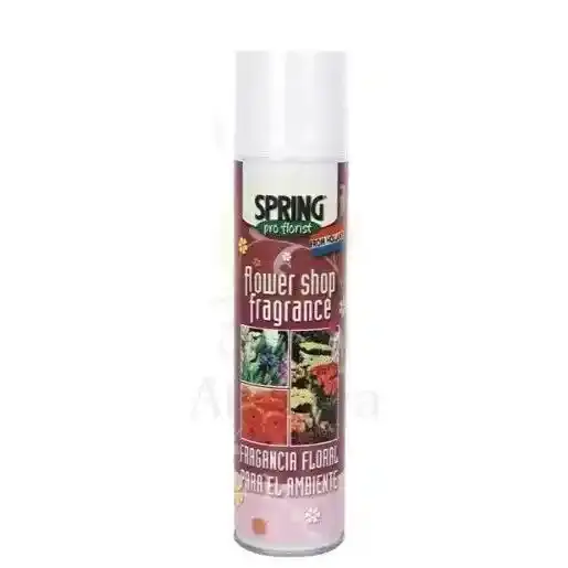 Spring Flowershop Fragr-Holand
