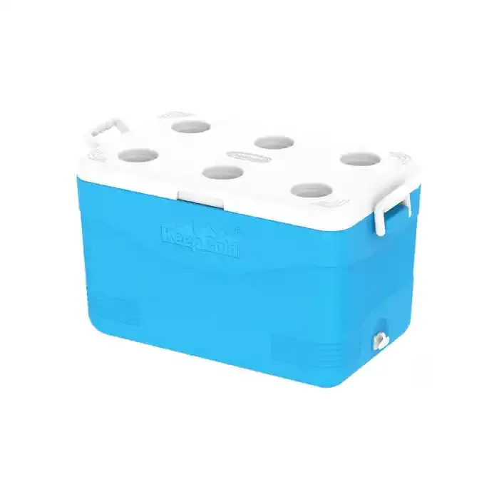 Cosmo Ice Box Picnic 60 Liter