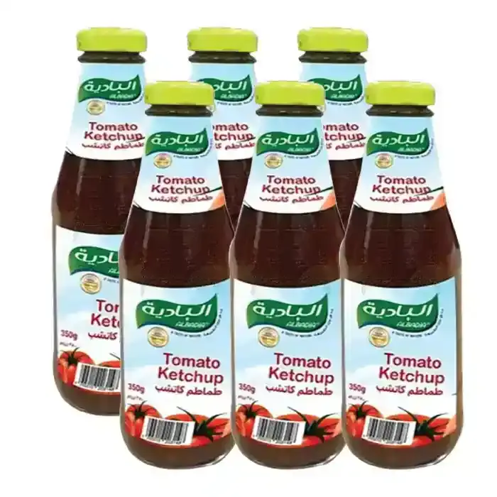 كاتشب البادية 6* 340 جم