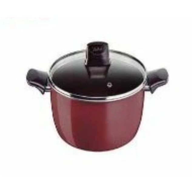 Tefal Stewpot 22 cm G6 Resist