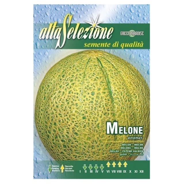 Alta Melon Seeds Ananas 4g