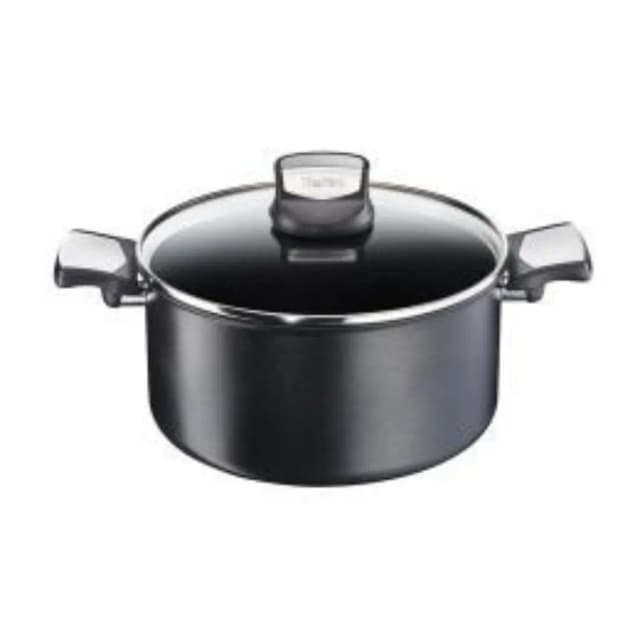 Tefal Stewpot 24 cm G6 Resist