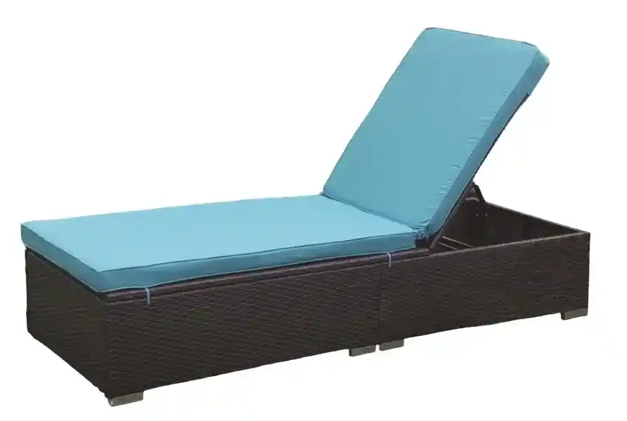Novus Outdoor Sun Lounger With Cushion Ce70152-L