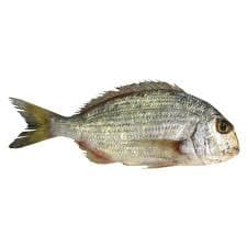 FISH KARKAFAN 1KG