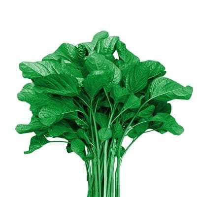 SPINACH GREEN 1 PACKET