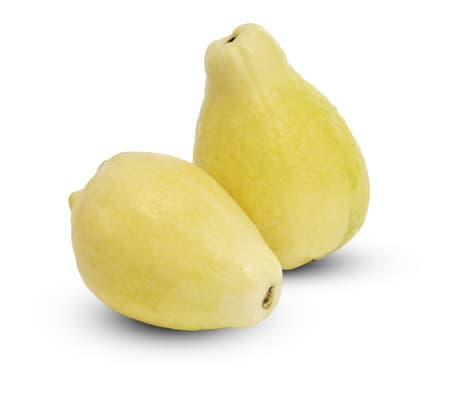 GUAVA