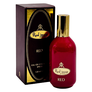 REAL IMAGE MEN'S PERFUME 120 ML