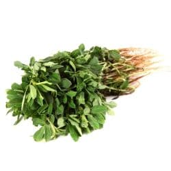 Kuwaiti Herbs Hilba