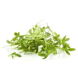 Kuwaiti Herbs Cress