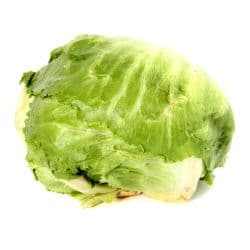 Iceberg Lettuce Usa