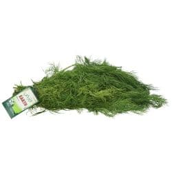Earth Organic Dill