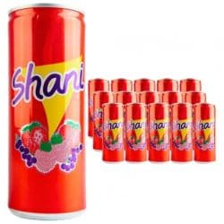 Shani Fruit Flavour Soft Drink Can