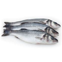 Fresh Seabass