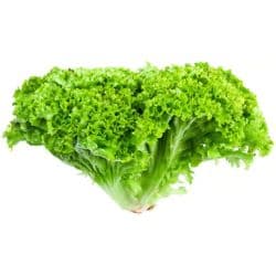 La Farm Lettuce Lollo Bionda - green