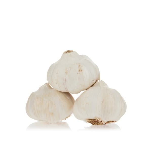 Spanish Jumbo Garlic