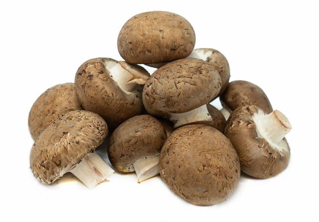 Baby Mushrooms Brown, 1 Pack