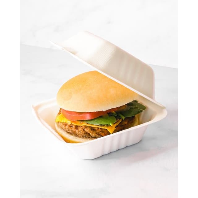 Ridan Chicken Burger Box, 600g