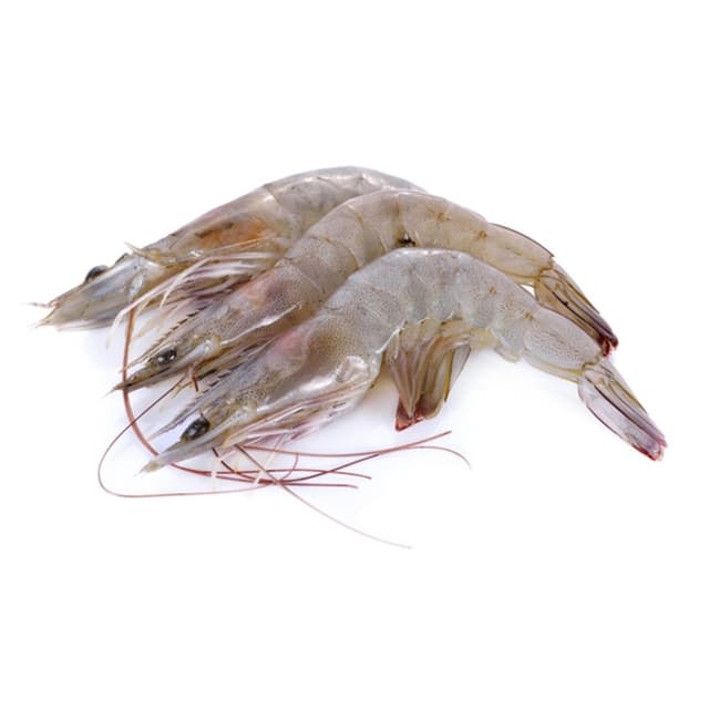 Frozen Shrimps, 60/70 Pieces