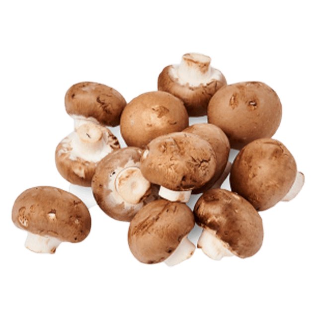 MUSHROOM BROWN
