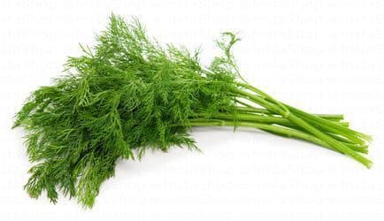 Dill, 1 Piece