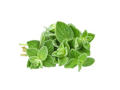 Herbs Oregano 5 X 50 Gm