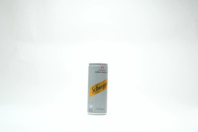 Schweppes Soda Water Can 250 ml