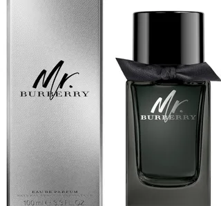 Burberry Mr Burberry Eau De Parfum For Men 100ml
