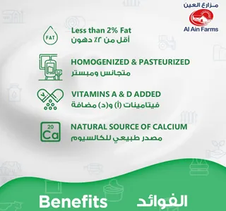 Al Ain Farms Low Fat Yoghurt 170 G