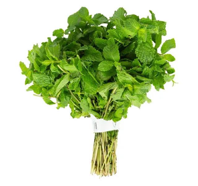 Premium Mint Leaves 1 Bunch