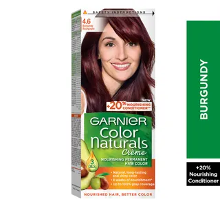 Garnier Color Naturals 46 Burgundy 1 Pkt