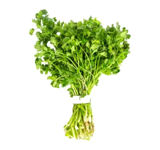Premium Coriander Leaves 1 Bunch