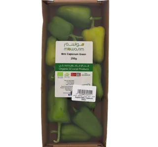 Organic Baby Capsicum Green UAE 1 pkt