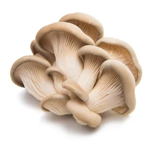 Oyster Mushroom UAE 100 g
