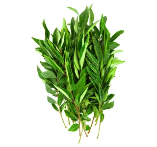 Curry Leaves 1 Pkt