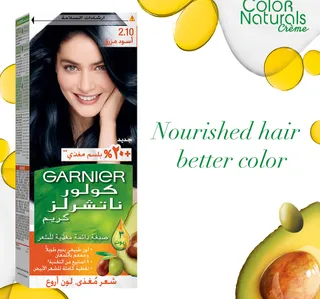 Garnier Color Naturals 210 Blue Black 1 Pkt