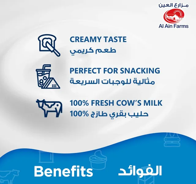 Al Ain Farms Cream Cheese Value Pack 2 X 500 G