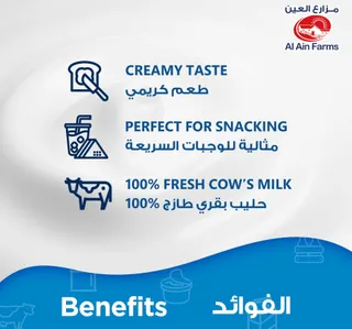Al Ain Farms Cream Cheese 240 g