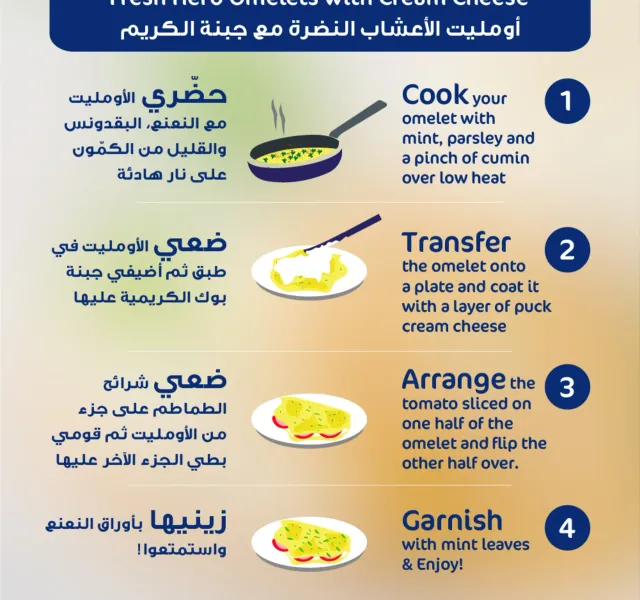 بوك جبنة كريمة سبريد 500 جم