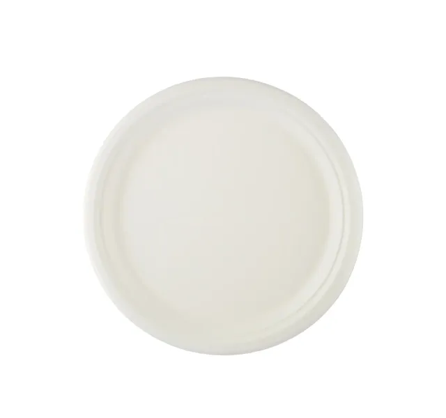 Hotpack Paper Plates Biodegradable 10inch 10pcs