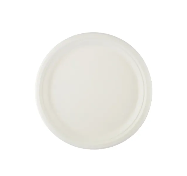 Hotpack Paper Plates Biodegradable 10inch 10pcs