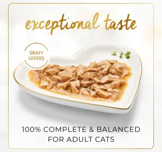 Purina Fancy Feast Beef Roasted Gravy Cat Food 85 g